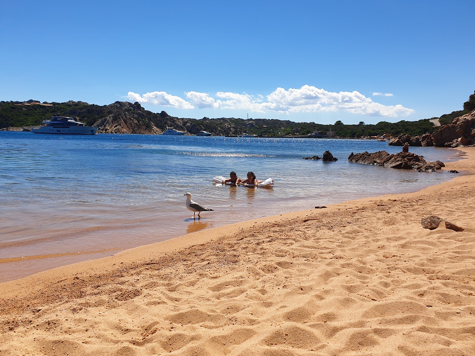 Photo de Costone beach situé dans une zone naturelle