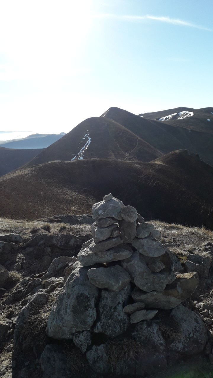 Photo n° 1 de l'avis de cris.e fait le 20/02/2019 à 19:18