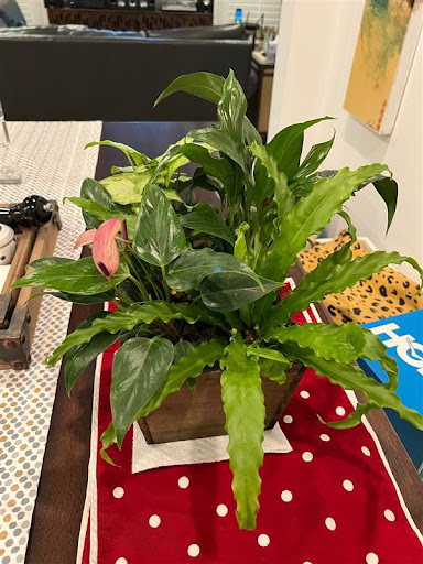 Flower Designer «My Blooming Business», reviews and photos, 4765 N Eagle Rock Blvd, Los Angeles, CA 90041, USA