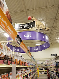 PetSmart - Photo 7 - Car repair in Houston, TX, The Woodlands