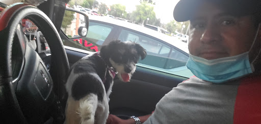 Pet Supply Store «Unleashed by Petco», reviews and photos, 2643 Tapo Canyon Rd c, Simi Valley, CA 93063, USA