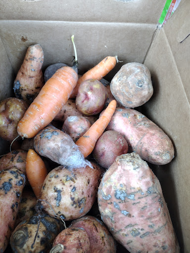 Non-Profit Organization «Houston Food Bank», reviews and photos