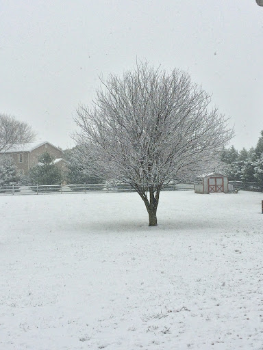 Beauty Salon «SKW Salon and Spa at The Belaire», reviews and photos, 4098 Willey Dr, Townsend, DE 19734, USA