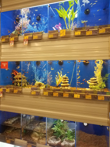 Pet Supply Store «PetSmart», reviews and photos, 1301 W Gladstone St, Glendora, CA 91740, USA