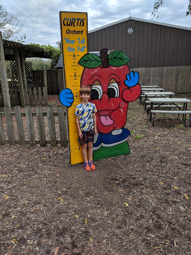 Orchard «Curtis Orchard & Pumpkin Patch», reviews and photos, 3902 S Duncan Rd, Champaign, IL 61822, USA