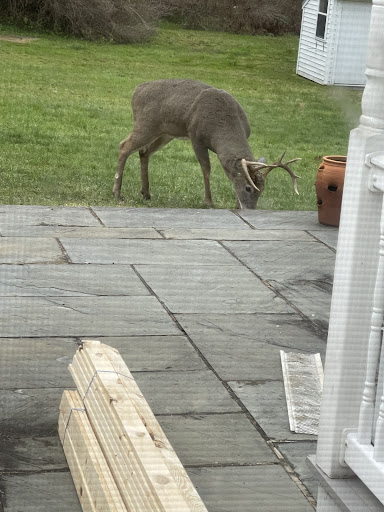 Construction Company «Garvin Construction», reviews and photos, 919 Jefferson Ave, Scranton, PA 18510, USA