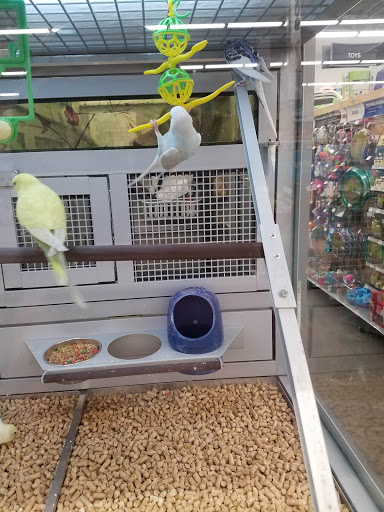 Pet Store «PetSmart», reviews and photos, 14903 4th Ave SW Ste 200, Burien, WA 98166, USA