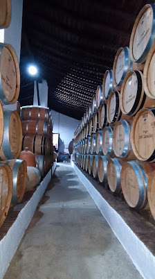 Bodega La Margarita Carretera Constantina - San Nicolás del Puerto, Km 5, 41451 Constantina, Sevilla, España