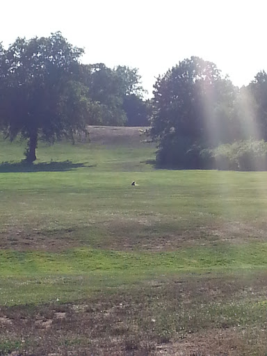 Golf Club «Alling Memorial Golf Course», reviews and photos, 35 Eastern St, New Haven, CT 06513, USA