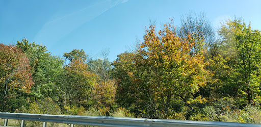 Country Club «The Cape Club of Sharon», reviews and photos, 25 Tiot St, Sharon, MA 02067, USA