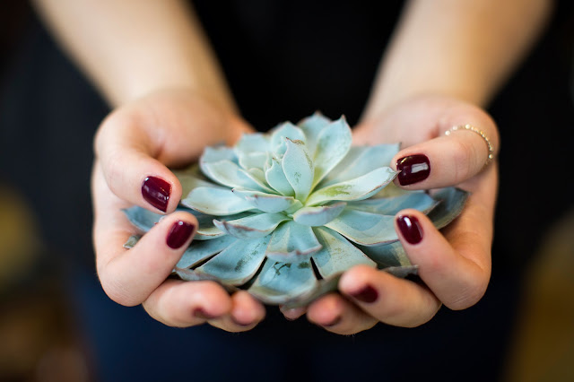 Rapunzels Aveda Hair Salon & Spa