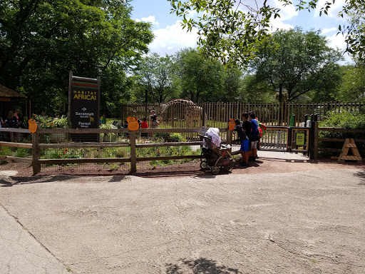 Zoo «Habitat Africa! The Forest», reviews and photos, 3300 Golf Rd, Brookfield, IL 60513, USA
