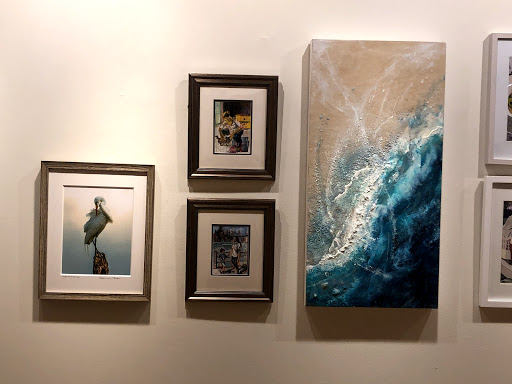 Art Museum «Coral Springs Museum of Art», reviews and photos, 2855 Coral Springs Dr, Coral Springs, FL 33065, USA