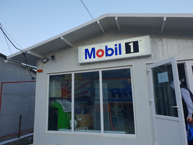 Piese Auto Buftea AVV 77 SRL - Atelier de dezmembrări Auto