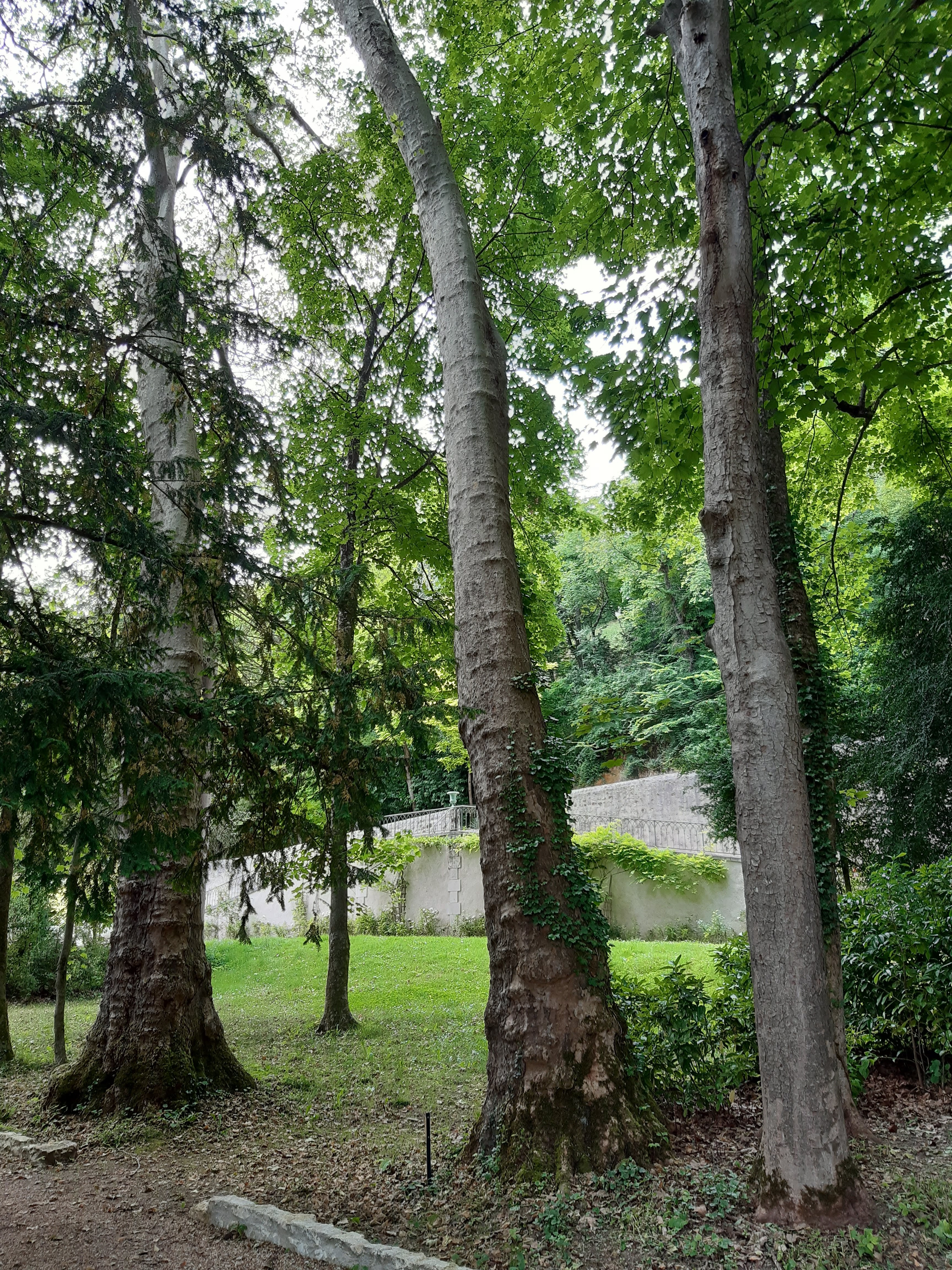 Photo n° 23 de l'avis de Patrice.a fait le 13/06/2021 à 16:03