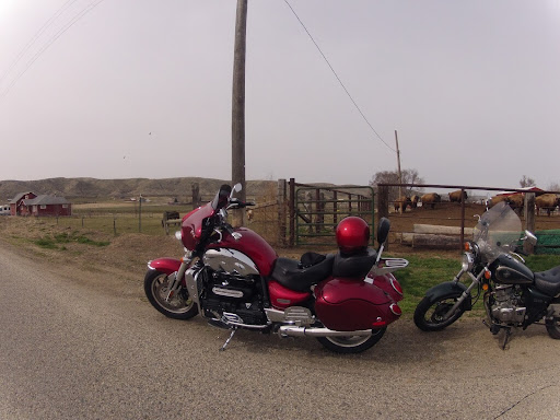 Motorcycle Dealer «Birds of Prey Motorsports», reviews and photos, 721 Hannibal St, Caldwell, ID 83605, USA