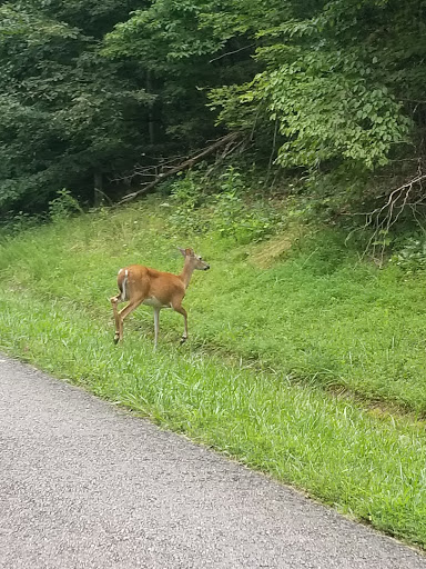 Golf Club «Ballyhack Golf Club», reviews and photos, 3609 Pitzer Rd, Roanoke, VA 24014, USA