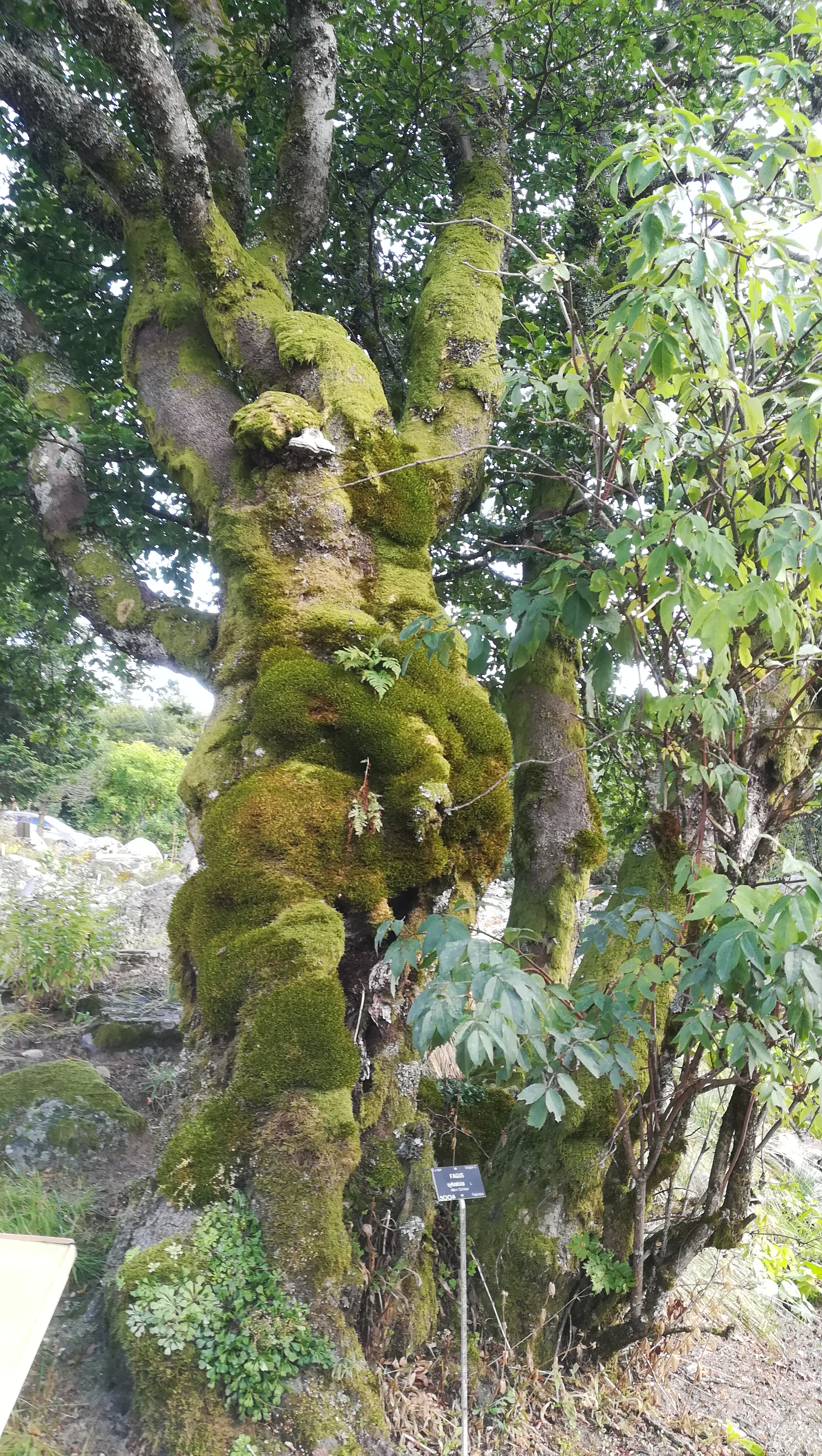 Photo n° 7 de l'avis de henrich.i fait le 27/08/2018 à 16:42