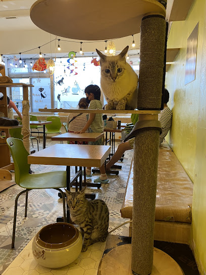 양이양이(cat cafe) photo