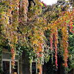Photo n°1 de l'avis de Fred. fait le 02/11/2023 à 10:54 sur le  Weingut Georg Siben Erben à Deidesheim