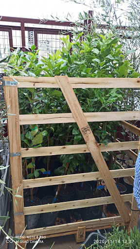 Organicos Sangonera S.L. (Delegación Málaga) - Álora