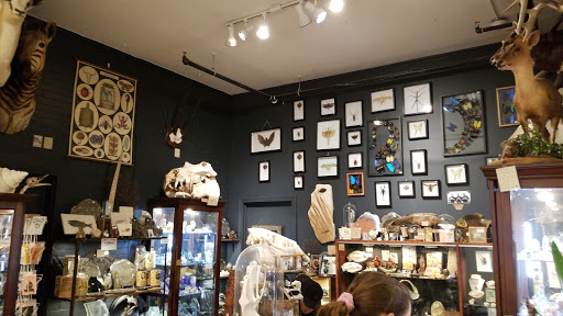 Gift Shop «The Rock and Art Shop», reviews and photos, 36 Central St, Bangor, ME 04401, USA