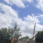 Photo n° 1 de l'avis de Marie.r fait le 18/08/2023 à 20:41 pour Parc animalier et botanique & Parcabout de Branféré à Le Guerno