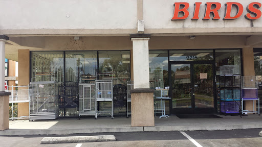 Exotic Birds By Fran