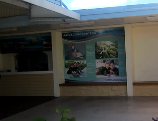 Tour Agency «Miami Swim With Dolphin Tours», reviews and photos, 247 SW 8th St, Miami, FL 33130, USA