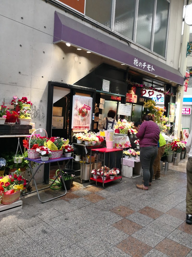 （株）花のチモト 魚町店