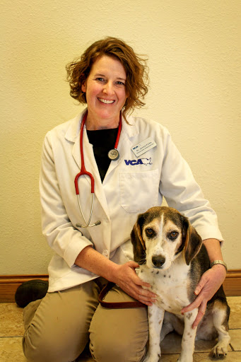 VCA County West Animal Hospital