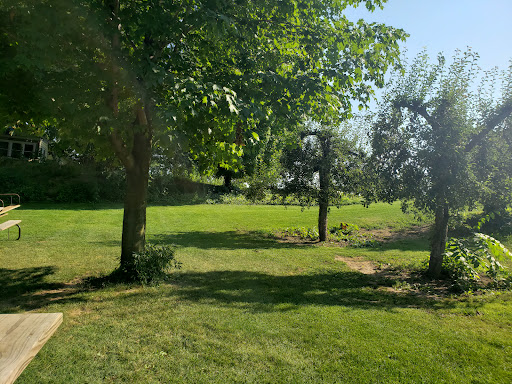 Winery «Lemon Creek Winery», reviews and photos, 533 E Lemon Creek Rd, Berrien Springs, MI 49103, USA