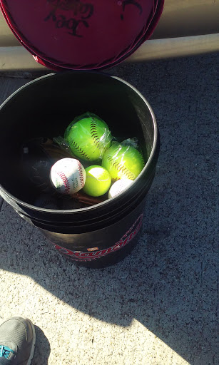 Sporting Goods Store «Mesquite Sport Center», reviews and photos, 321 Gross Rd, Mesquite, TX 75149, USA