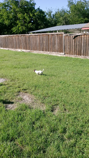 Park «Buckner Park», reviews and photos, 4550 Worth St, Dallas, TX 75246, USA