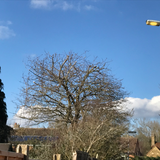 Tree pruning Milton Keynes