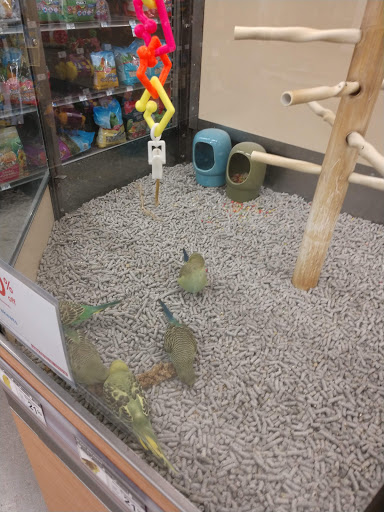 Pet Supply Store «Petco Animal Supplies», reviews and photos, 226 Thornton Drive, Dickson, TN 37055, USA