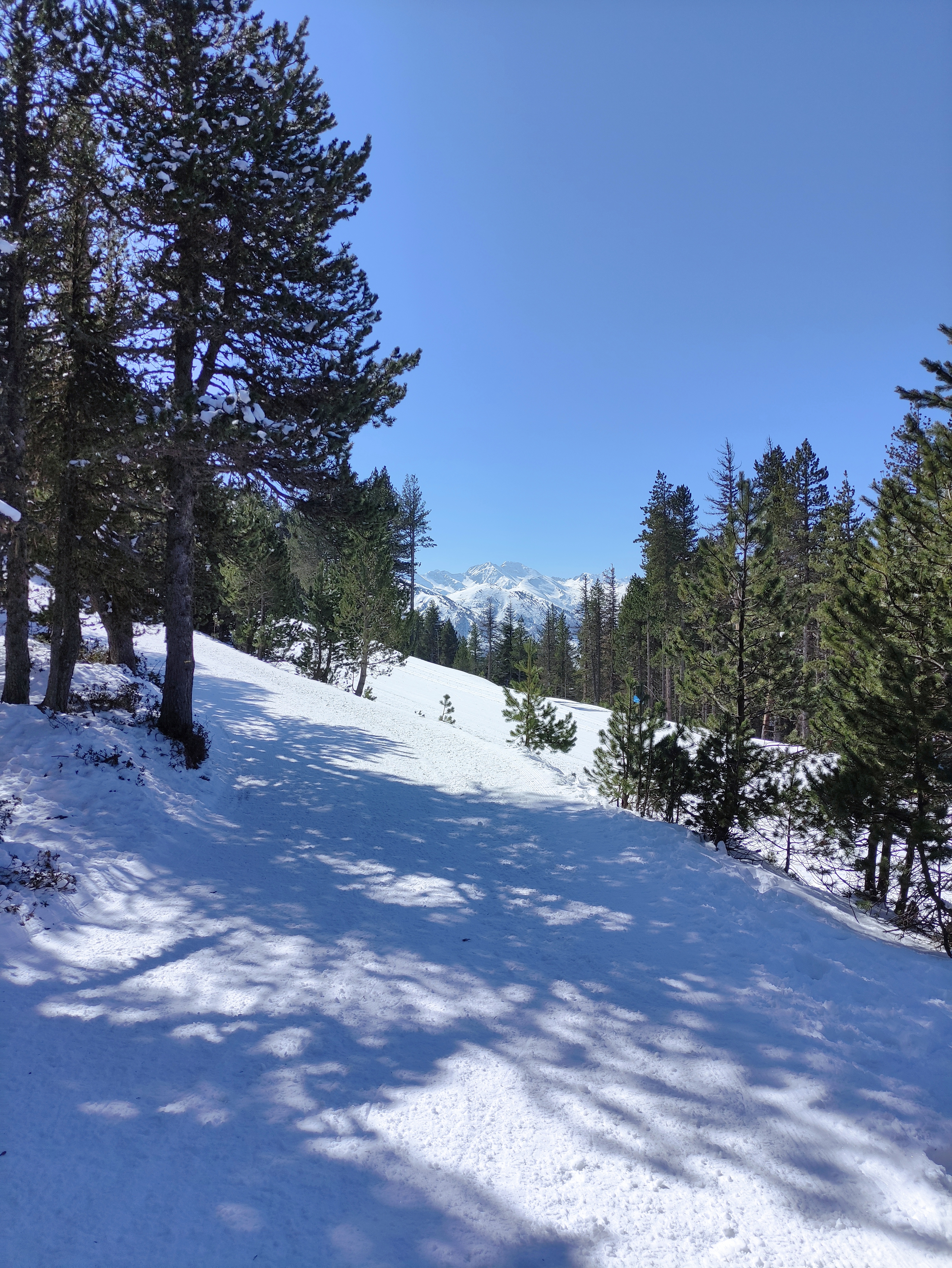 Photo n° 1 de l'avis de Jean-François.O fait le 11/03/2023 à 11:50