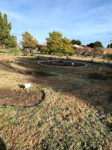 Park «Armstrong Park», reviews and photos, 100 James Collins Blvd, Duncanville, TX 75116, USA