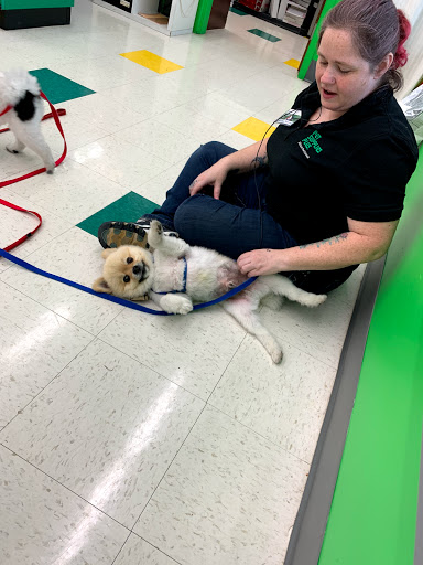 Pet Supply Store «Pet Supplies Plus», reviews and photos, 15311 Manchester Rd, Ballwin, MO 63011, USA