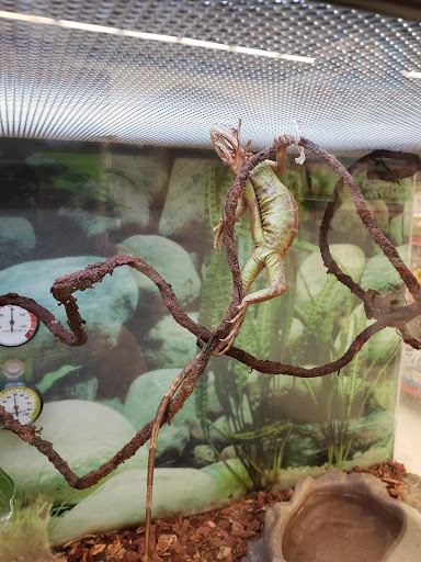 Pet Supply Store «Petco Animal Supplies», reviews and photos, 13127 N Dale Mabry Hwy, Tampa, FL 33618, USA