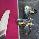 Photo n° 1 de l'avis de LAURENCE.E fait le 09/08/2018 à 20:50 pour Restaurant La Taverne du Pêcheur à L'Aiguillon-la-Presqu'île