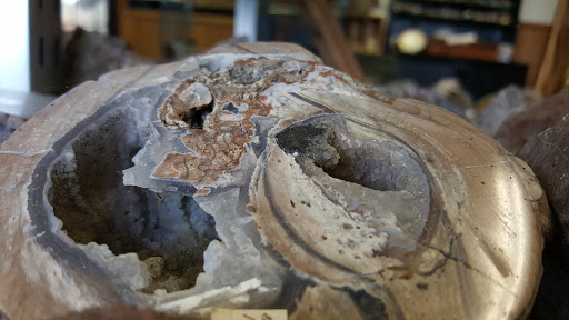 Museum «Living Rock Studios», reviews and photos, 911 W Bishop Way, Brownsville, OR 97327, USA