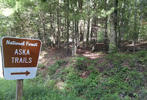 are dogs allowed aska trails