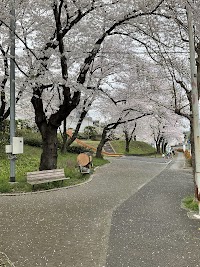 緑ヶ丘さくら公園