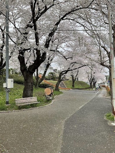 緑ヶ丘さくら公園