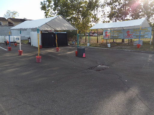 Squidwash Mobile Carwash & Detailing en Tampa
