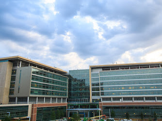 UF Health Neuromedicine Hospital