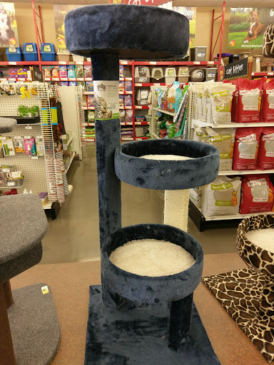 Pet Supply Store «Pet Food Express», reviews and photos, 383 S McDowell Blvd, Petaluma, CA 94954, USA