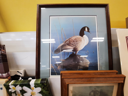 Thrift Store «Goodwill - Arden Hills», reviews and photos, 1103 County Rd E, Arden Hills, MN 55112, USA