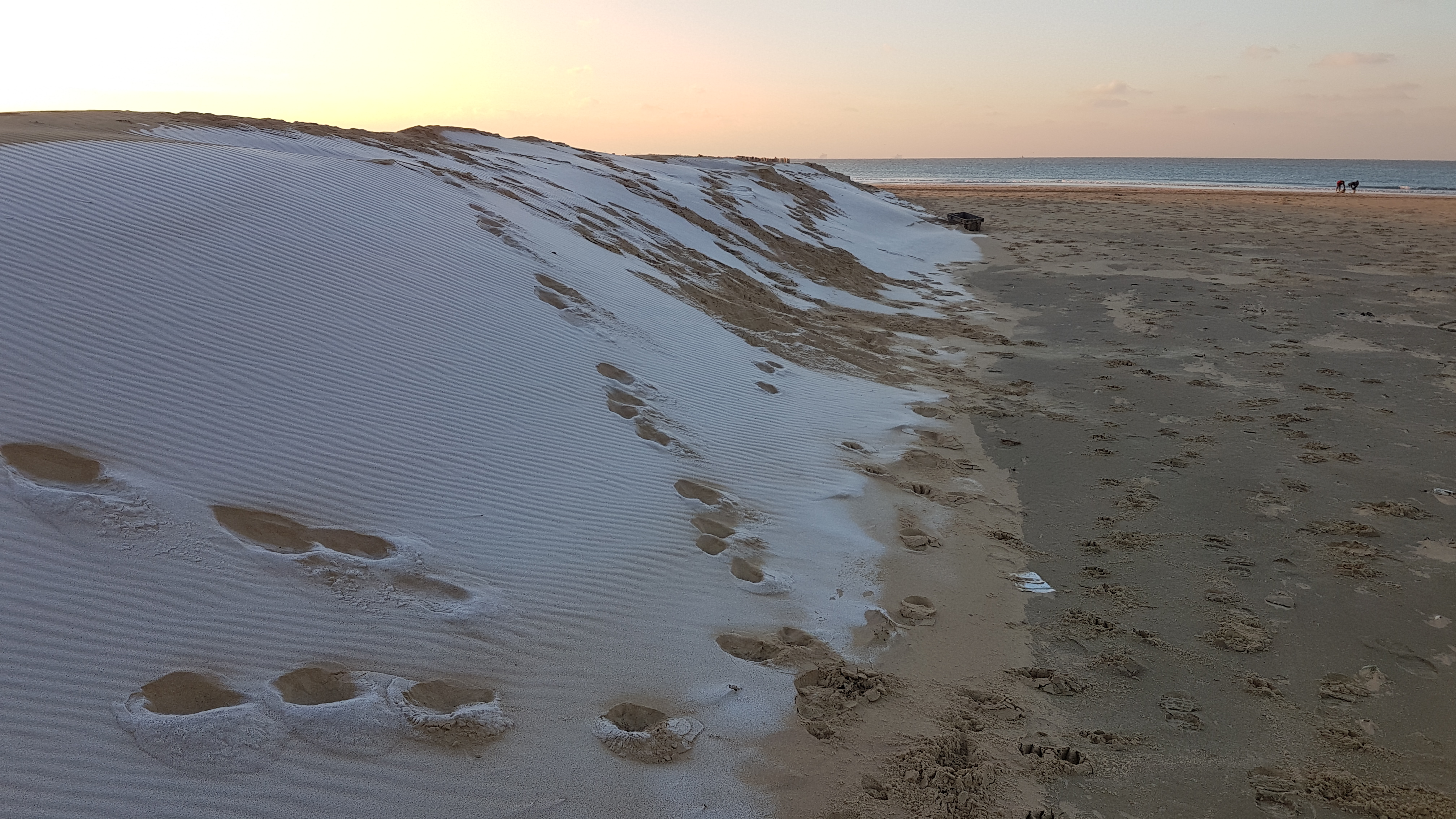 Photo n° 1 de l'avis de Pauline.a fait le 11/01/2019 à 01:09